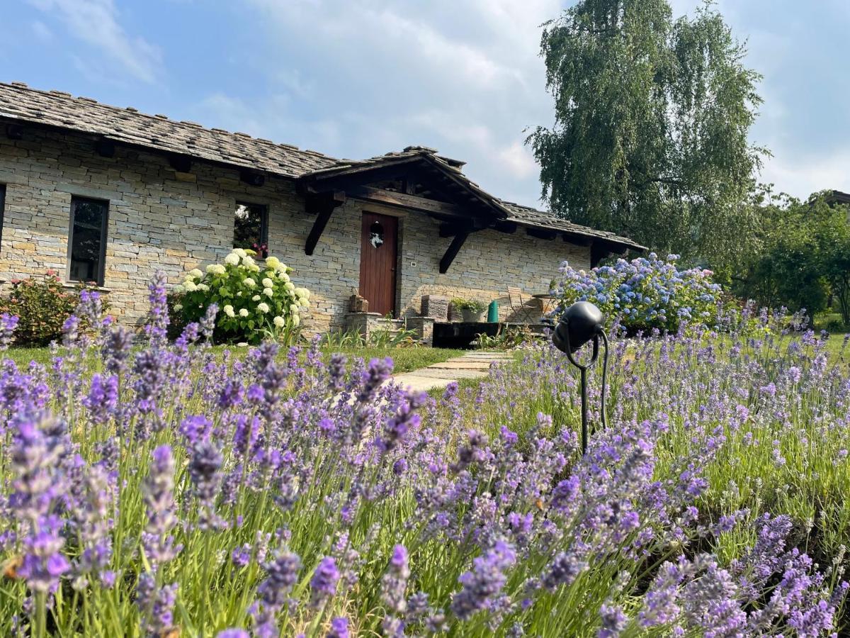 Dionisia'S Home, Pool, Spa On Monviso Unesco Alps Verzuolo Kültér fotó